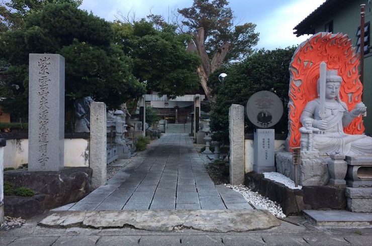 image1 (1)